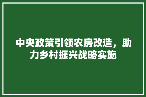 中央政策引领农房改造，助力乡村振兴战略实施