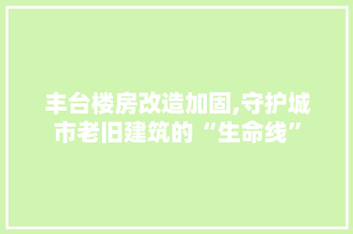 丰台楼房改造加固,守护城市老旧建筑的“生命线”