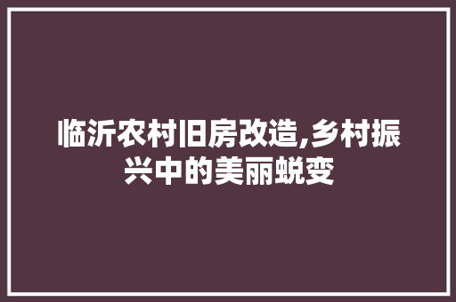 临沂农村旧房改造,乡村振兴中的美丽蜕变