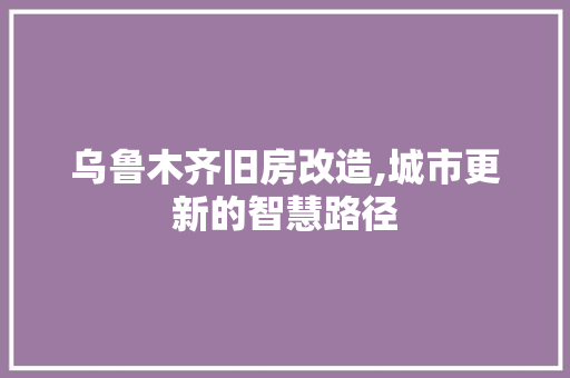 乌鲁木齐旧房改造,城市更新的智慧路径