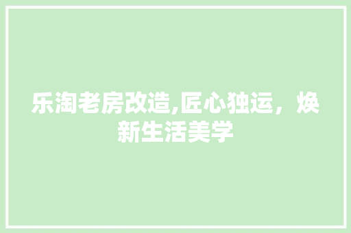 乐淘老房改造,匠心独运，焕新生活美学