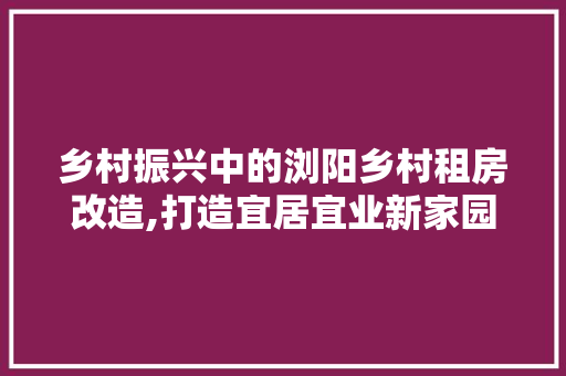 乡村振兴中的浏阳乡村租房改造,打造宜居宜业新家园