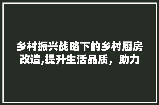 乡村振兴战略下的乡村厨房改造,提升生活品质，助力绿色发展