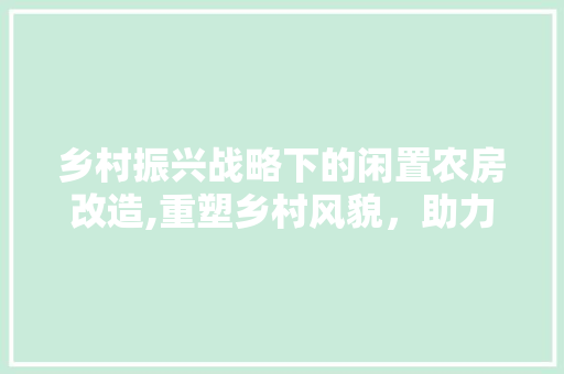 乡村振兴战略下的闲置农房改造,重塑乡村风貌，助力农民增收