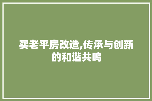 买老平房改造,传承与创新的和谐共鸣