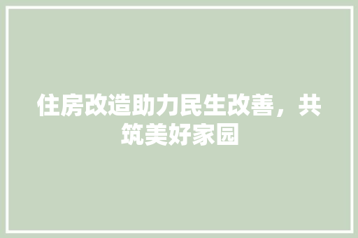 住房改造助力民生改善，共筑美好家园