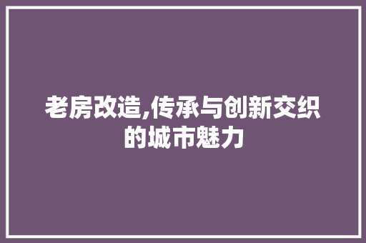 老房改造,传承与创新交织的城市魅力