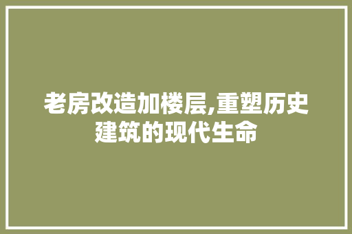 老房改造加楼层,重塑历史建筑的现代生命