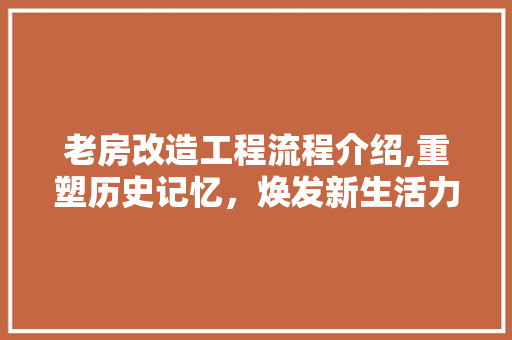 老房改造工程流程介绍,重塑历史记忆，焕发新生活力
