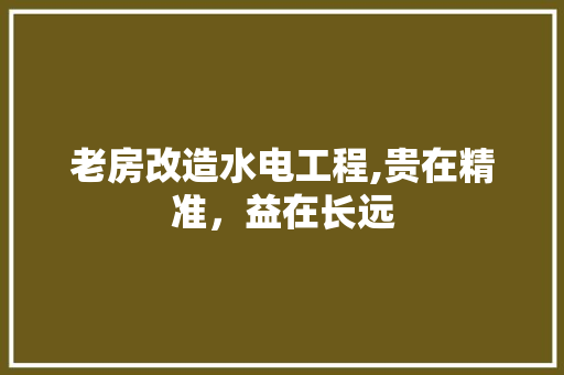 老房改造水电工程,贵在精准，益在长远