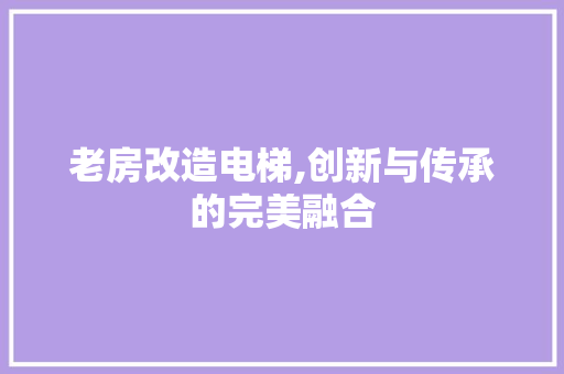 老房改造电梯,创新与传承的完美融合