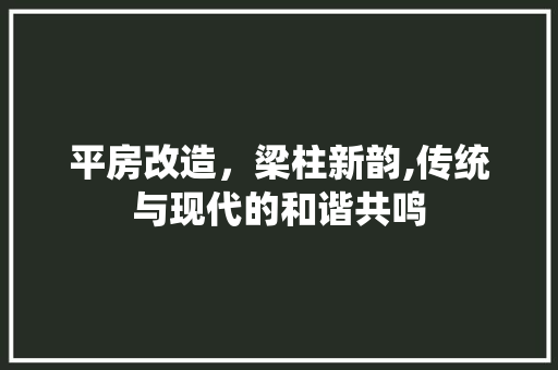 平房改造，梁柱新韵,传统与现代的和谐共鸣