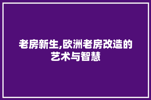 老房新生,欧洲老房改造的艺术与智慧