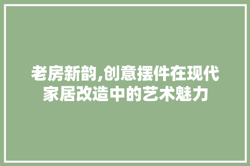 老房新韵,创意摆件在现代家居改造中的艺术魅力