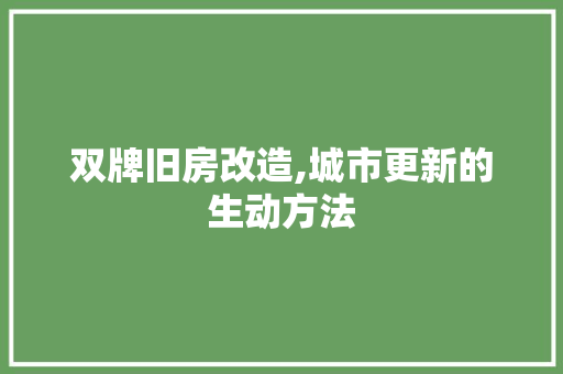 双牌旧房改造,城市更新的生动方法