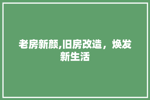 老房新颜,旧房改造，焕发新生活