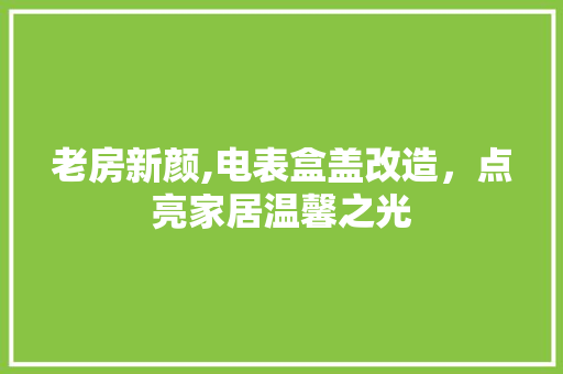 老房新颜,电表盒盖改造，点亮家居温馨之光