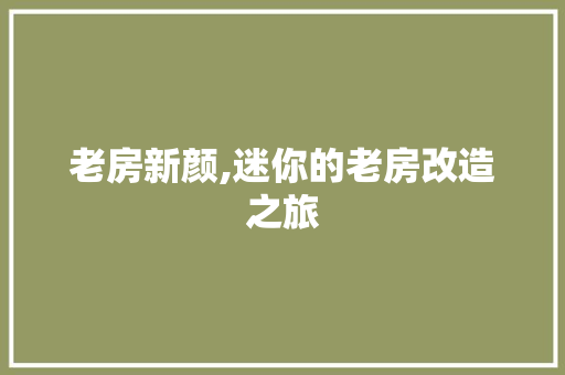 老房新颜,迷你的老房改造之旅