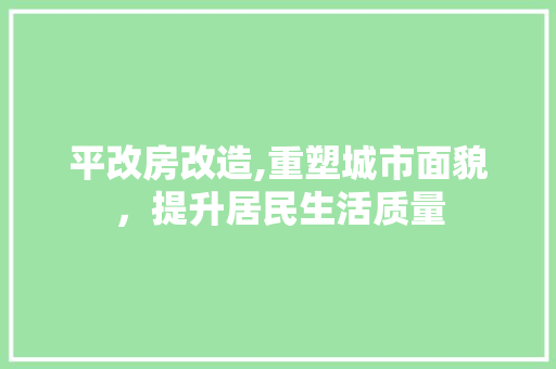 平改房改造,重塑城市面貌，提升居民生活质量