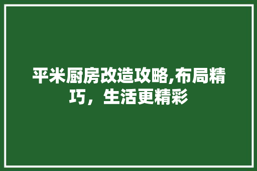 平米厨房改造攻略,布局精巧，生活更精彩