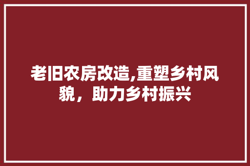 老旧农房改造,重塑乡村风貌，助力乡村振兴
