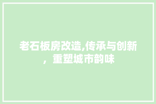老石板房改造,传承与创新，重塑城市韵味