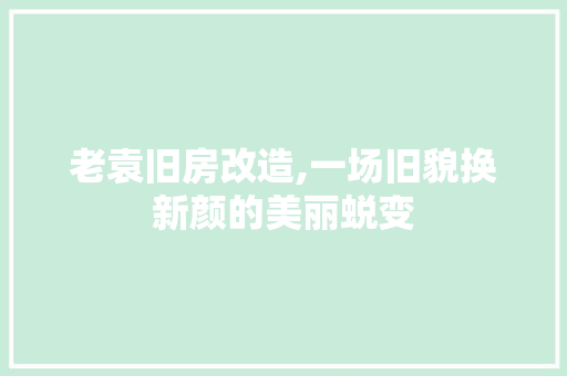老袁旧房改造,一场旧貌换新颜的美丽蜕变