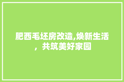 肥西毛坯房改造,焕新生活，共筑美好家园