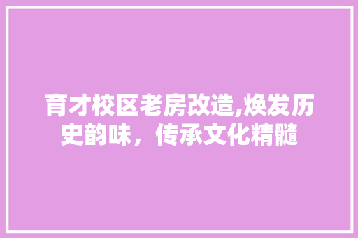 育才校区老房改造,焕发历史韵味，传承文化精髓