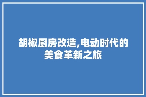 胡椒厨房改造,电动时代的美食革新之旅