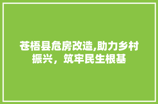 苍梧县危房改造,助力乡村振兴，筑牢民生根基
