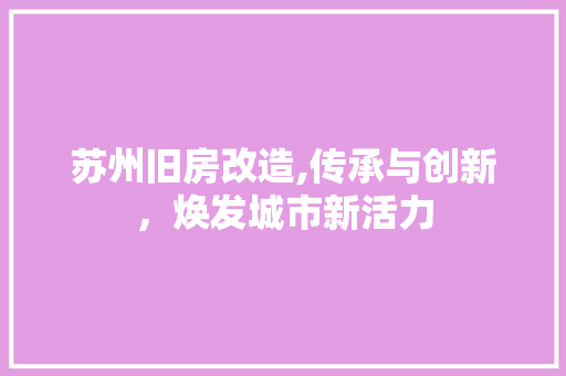 苏州旧房改造,传承与创新，焕发城市新活力