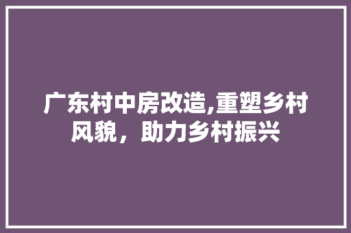 广东村中房改造,重塑乡村风貌，助力乡村振兴