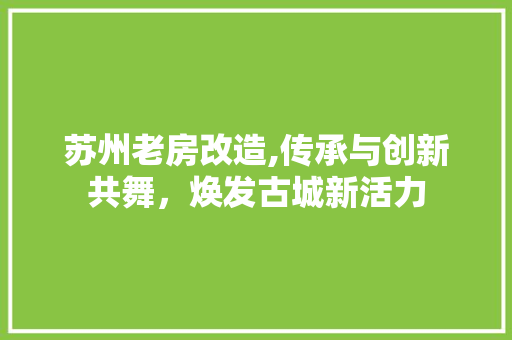 苏州老房改造,传承与创新共舞，焕发古城新活力