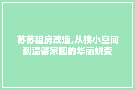苏苏租房改造,从狭小空间到温馨家园的华丽蜕变