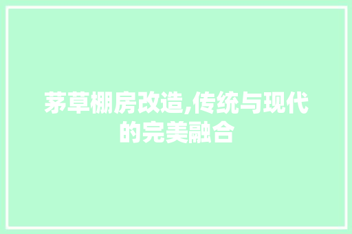 茅草棚房改造,传统与现代的完美融合