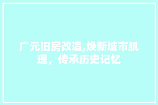 广元旧房改造,焕新城市肌理，传承历史记忆