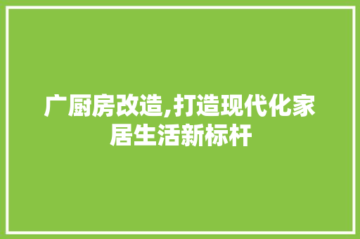 广厨房改造,打造现代化家居生活新标杆