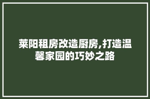 莱阳租房改造厨房,打造温馨家园的巧妙之路