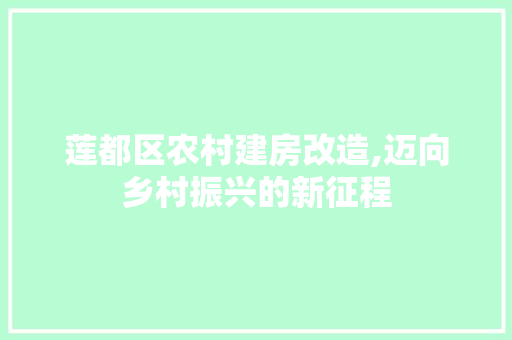 莲都区农村建房改造,迈向乡村振兴的新征程