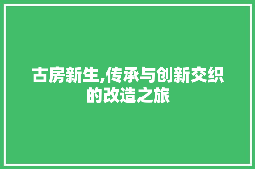 古房新生,传承与创新交织的改造之旅