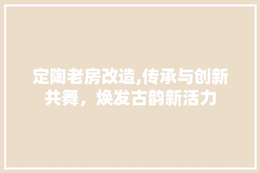 定陶老房改造,传承与创新共舞，焕发古韵新活力