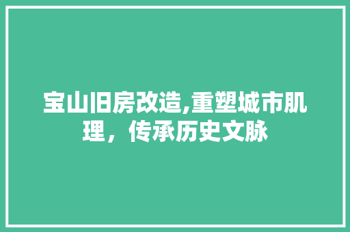 宝山旧房改造,重塑城市肌理，传承历史文脉