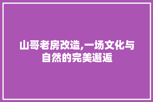 山哥老房改造,一场文化与自然的完美邂逅