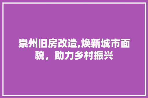崇州旧房改造,焕新城市面貌，助力乡村振兴