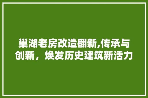 巢湖老房改造翻新,传承与创新，焕发历史建筑新活力