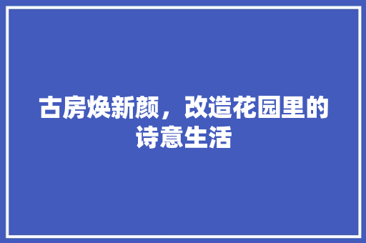 古房焕新颜，改造花园里的诗意生活