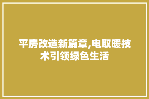 平房改造新篇章,电取暖技术引领绿色生活