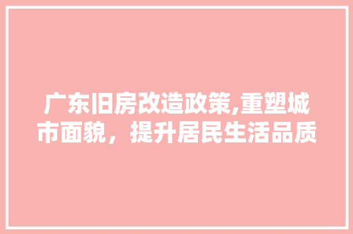 广东旧房改造政策,重塑城市面貌，提升居民生活品质
