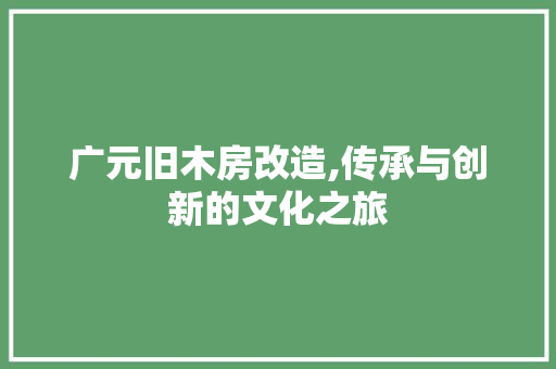 广元旧木房改造,传承与创新的文化之旅